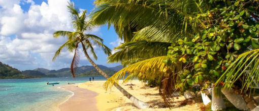 Turismo en Isla Grande, Colón, Panamá - Vive una experiencia única con Dátilera Tours