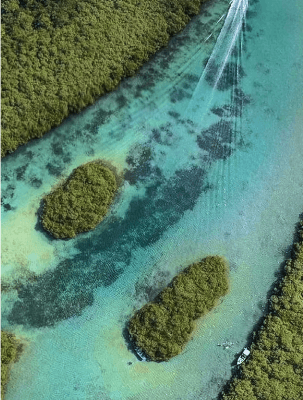 Isla Mamey, Túnel del amor, Piscina natural, Isla de los Monos - Vive una experiencia única con Dátilera Tours